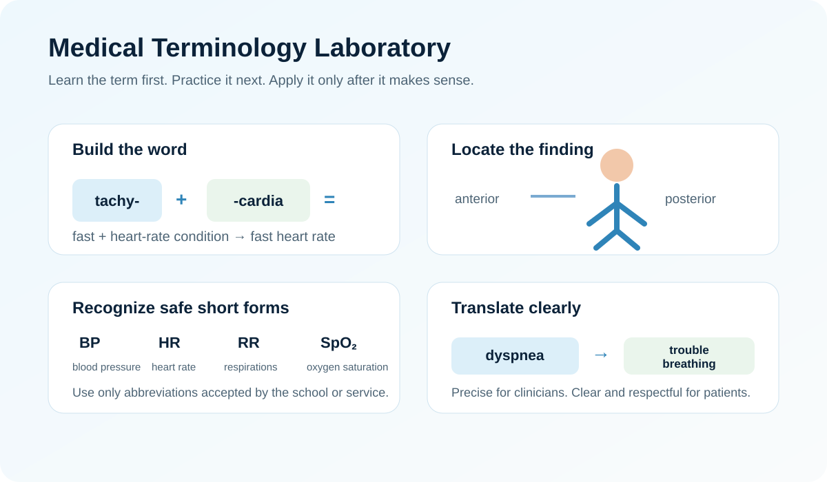Medical terminology laboratory showing prefixes, roots, suffixes, anatomical directions, and plain-language translation