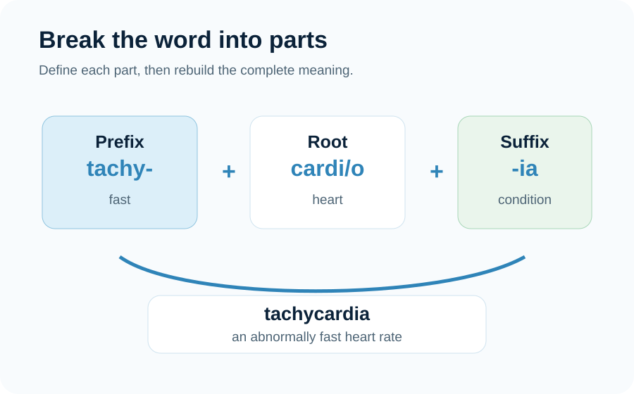 Diagram showing prefix, root, and suffix parts of medical terms